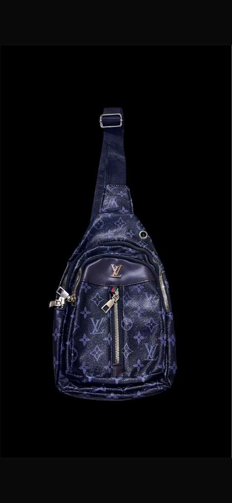 LV bag
